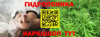 эйфоретик Будённовск