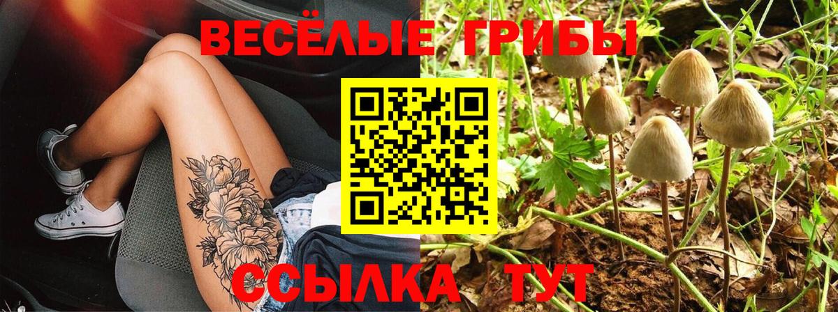 Пугачёв  Галлюциногенные грибы мухоморы  Псилоцибиновые грибы ЛСД  Вход с VPN 