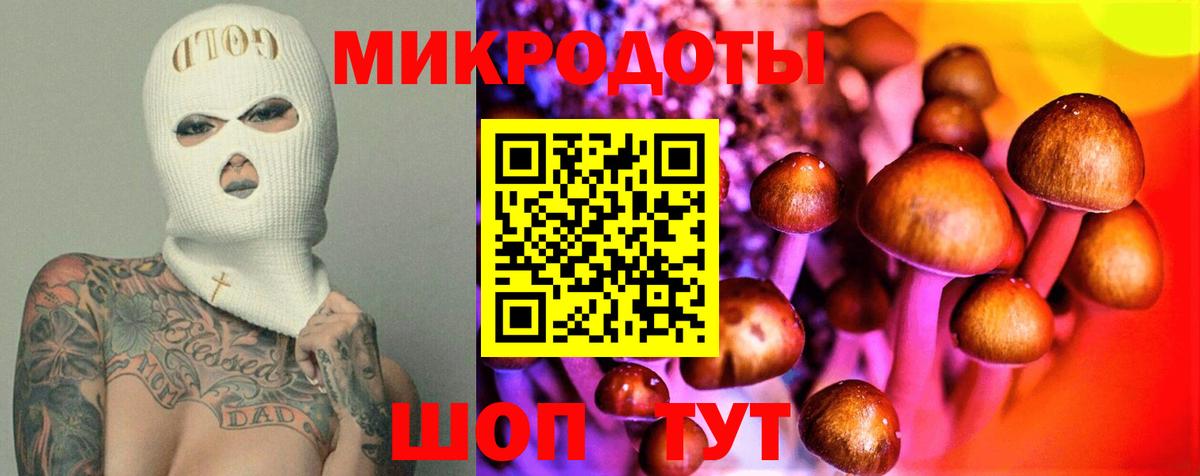 Псилоцибиновые грибы Psilocybe Пугачёв